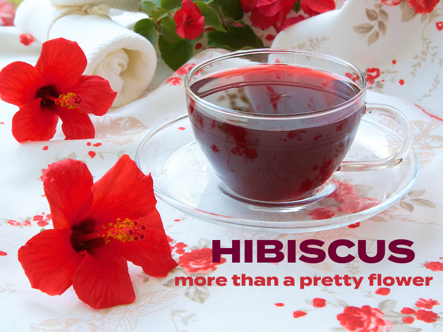 Best Hibiscus Tea Ever!